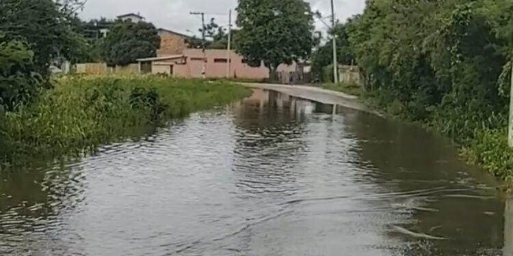 Moradores denunciam: águas invadem residências e lagoa está prestes a transbordar