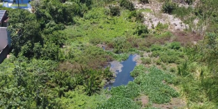 Confirmado despejo de esgoto na Lagoa e Imboassica