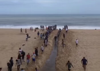 Boca da Lagoa de Imboassica é aberta pela população