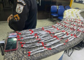 Drogas são apreendidas no Palmital, em Rio das Ostras