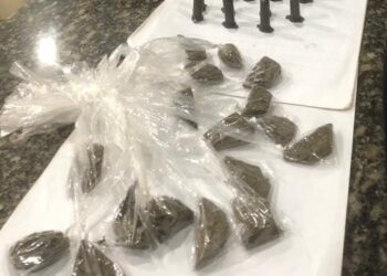 PM apreende drogas em Carapebus