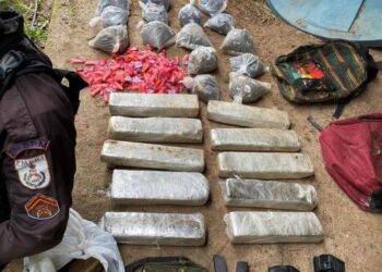PM apreende grande quantidade de drogas em Arraial do Cabo
