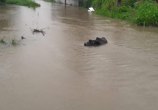 Manhã de chuva forte e alagamentos em cidade da Região dos Lagos