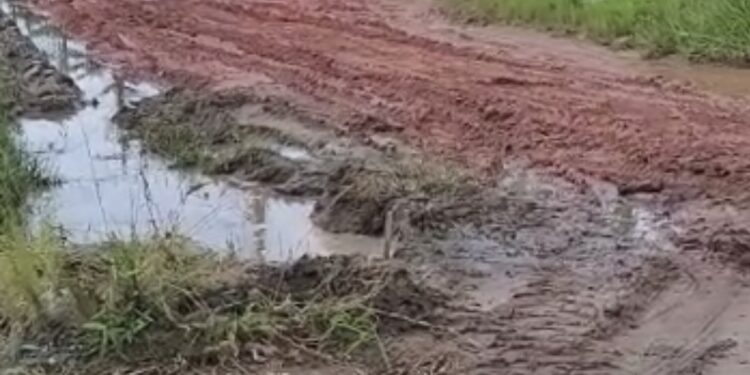 Chuva chega e transtornos só aumentam no Enseada das Gaivotas