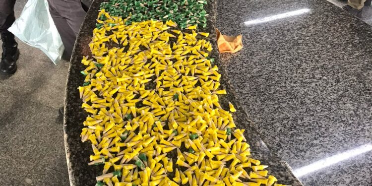 PM apreende 3 mil pinos de cocaína em Campos