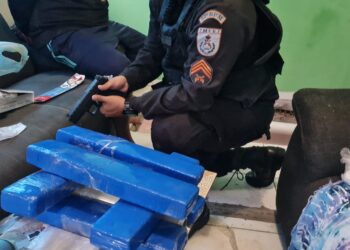 “Boiadeiro” é laçado e colocado em seu devido lugar