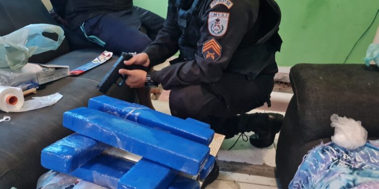 “Boiadeiro” é laçado e colocado em seu devido lugar