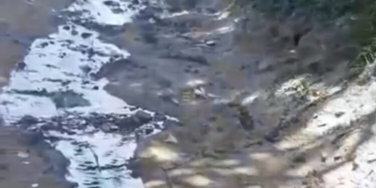 Esgoto a céu aberto é registrado em praia turística da Região dos Lagos