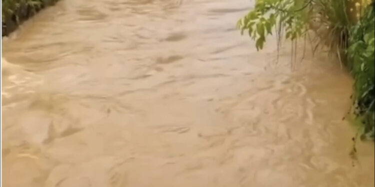 Fortes chuvas provocam fenômeno cabeça d’água e transbordo de rios