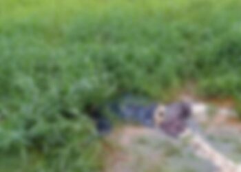 Corpo em avançado estado de decomposição é encontrado em Unamar