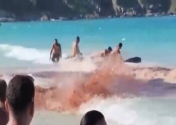 Baleias encalham em praia de Arraial do Cabo