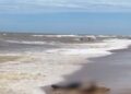 Corpo é encontrado às margens da Praia de Grussaí