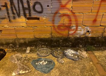 PM prende dupla e apreende drogas no Lagomar