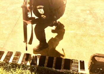 Homem é preso após furtar loja de acessórios para celular em Casimiro de Abreu