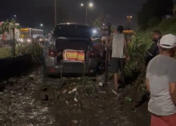 Queda de árvore e barranco interdita BR-101