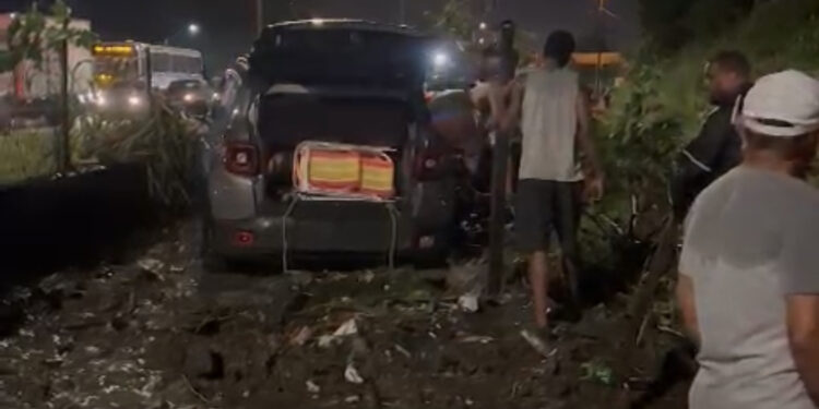 Queda de árvore e barranco interdita BR-101