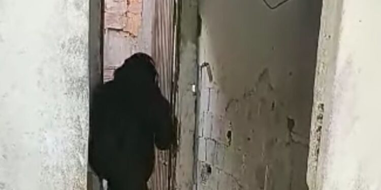 Agentes do Esquadrão Antibombas detonam explosivo em SFI