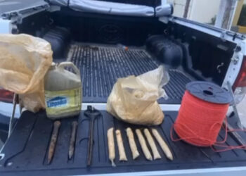 Explosivos são encontrados em ação do Inea contra extração ilegal