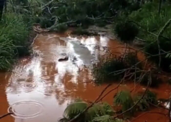Temporal com ventos fortes atinge cidade do Noroeste Fluminense