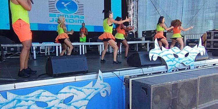 Carnaval da Alegria: dança, música e curtição agitam o fim de semana