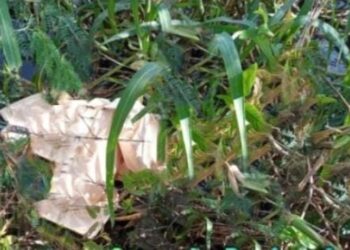 Homem é assassinado a tiros e achado em valão com braço amarrado em Campos