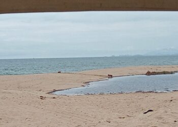 Dois surfistas são detidos tentando abrir a barra da Lagoa em Carapebus