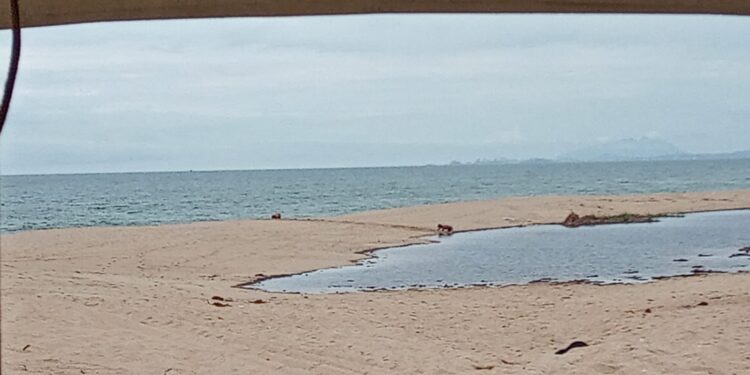 Dois surfistas são detidos tentando abrir a barra da Lagoa em Carapebus