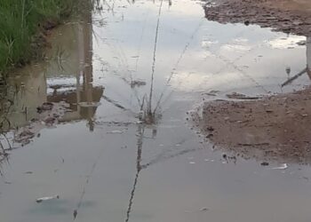 População clama por melhorias em ruas de Barra de São João