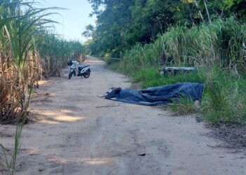 Corpos em fase inicial de decomposição encontrados em São Francisco de Itabapoana são identificados