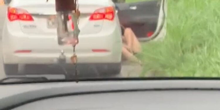 Denúncia: mulher é agredida às margens de rodovia