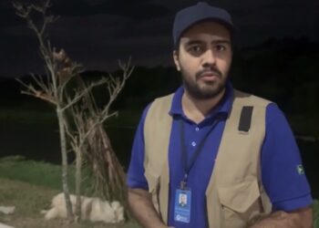 Subsecretaria de Proteção Animal emite parecer sobre cão na Linha Verde