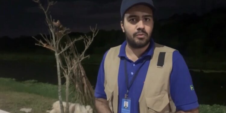 Subsecretaria de Proteção Animal emite parecer sobre cão na Linha Verde