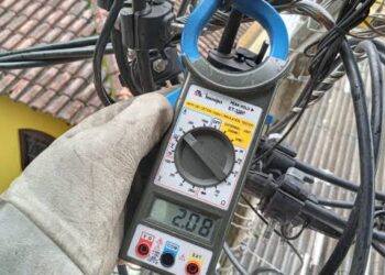 “Gatos” são encontrados em estabelecimentos comerciais