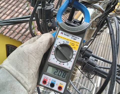 “Gatos” são encontrados em estabelecimentos comerciais