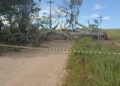 Homem morre após ser atingido por tronco de árvore em estrada