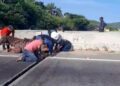 Cavalo fica preso em falha de ponte na Região dos Lagos