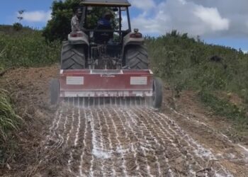 Prefeitura contribui e fortalece agricultura familiar