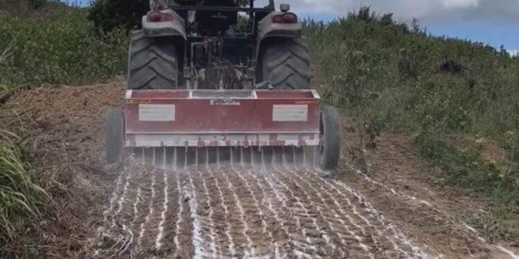 Prefeitura contribui e fortalece agricultura familiar