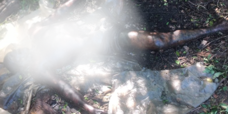 Homem é encontrado morto no quintal de casa na Baixada Campista