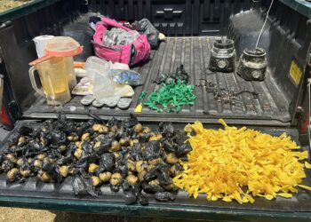 Três homens são presos com droga após conforto em Macaé