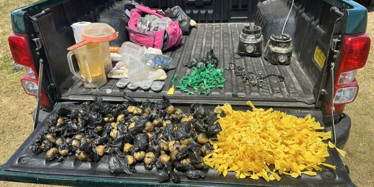 Três homens são presos com droga após conforto em Macaé