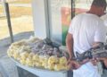 Homem é preso transportando drogas em ônibus do Rio para Arraial do Cabo