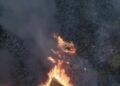 Incêndio atinge cerca de 30 mil metros quadrados de vegetação do Parque Estadual da Costa do Sol