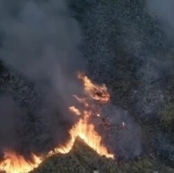 Incêndio atinge cerca de 30 mil metros quadrados de vegetação do Parque Estadual da Costa do Sol