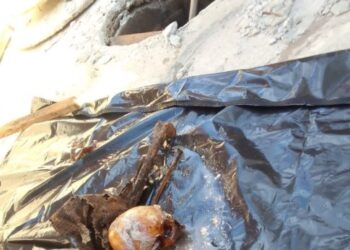 Ossada humana é encontrada dentro de fossa de residência em Arraial do Cabo