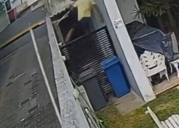 Traficante tenta fugir da Polícia, mas acaba em canil de cachorro