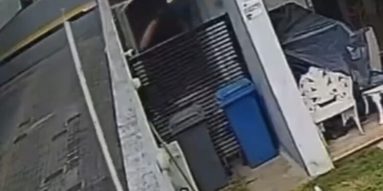 Traficante tenta fugir da Polícia, mas acaba em canil de cachorro