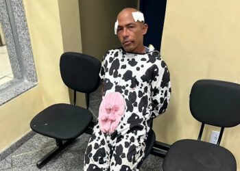 Homem vestido de vaca e mulher com chapéu de panda vão parar na delegacia