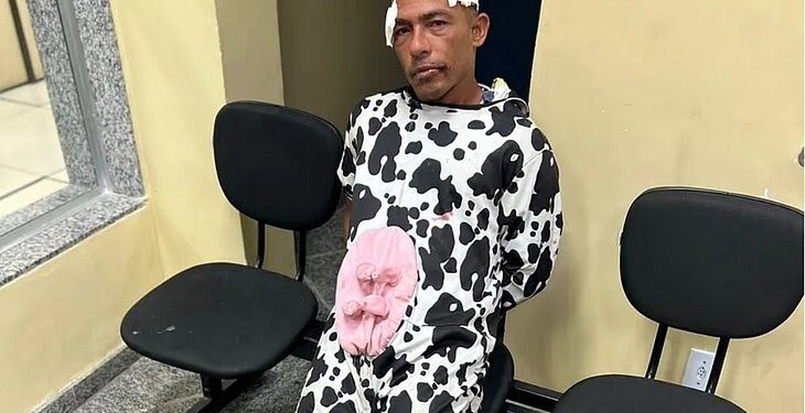 Homem vestido de vaca e mulher com chapéu de panda vão parar na delegacia