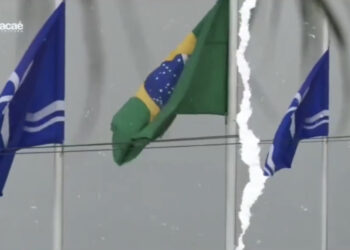 “Orgulho de ser cria de raiz ou coração”